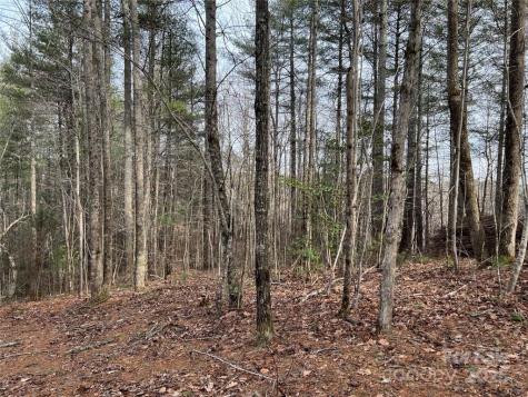 3.16 Acres Lot 77, 1712 Round Mountain Parkway Lenoir NC 28645