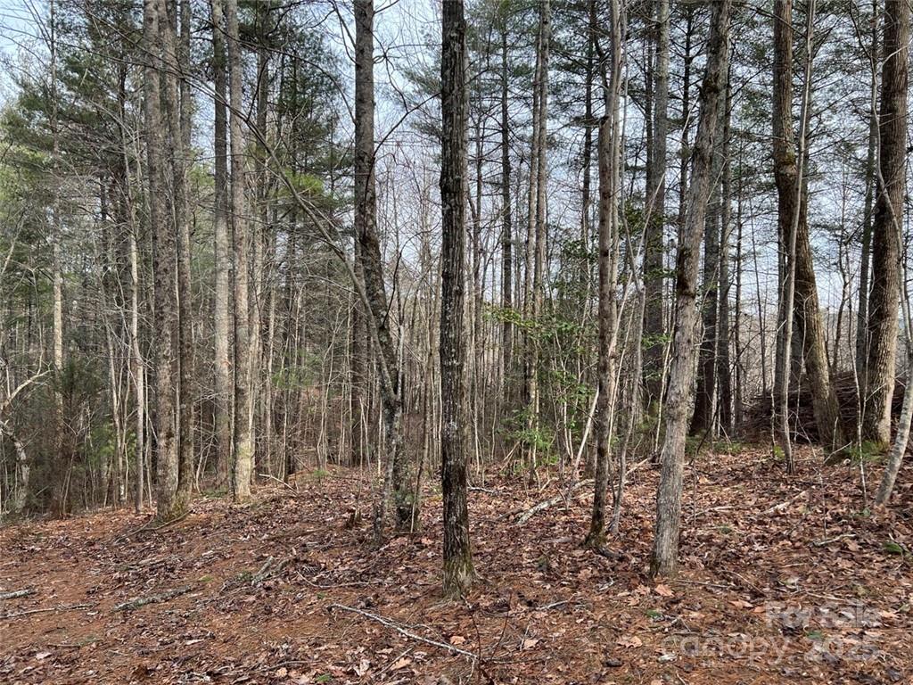 3.16 Acres Lot 77, 1712 Round Mountain Parkway Lenoir NC 28645