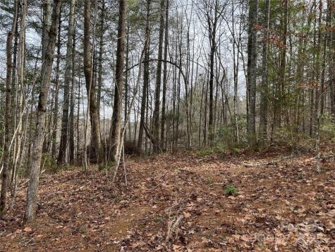 3.16 Acres Lot 77, 1712 Round Mountain Parkway Lenoir NC 28645