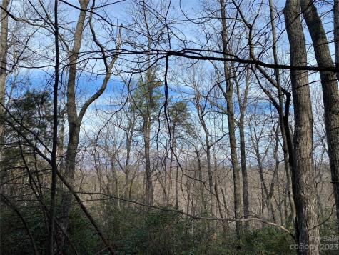0 Birddog Boulevard Lake Lure NC 28746