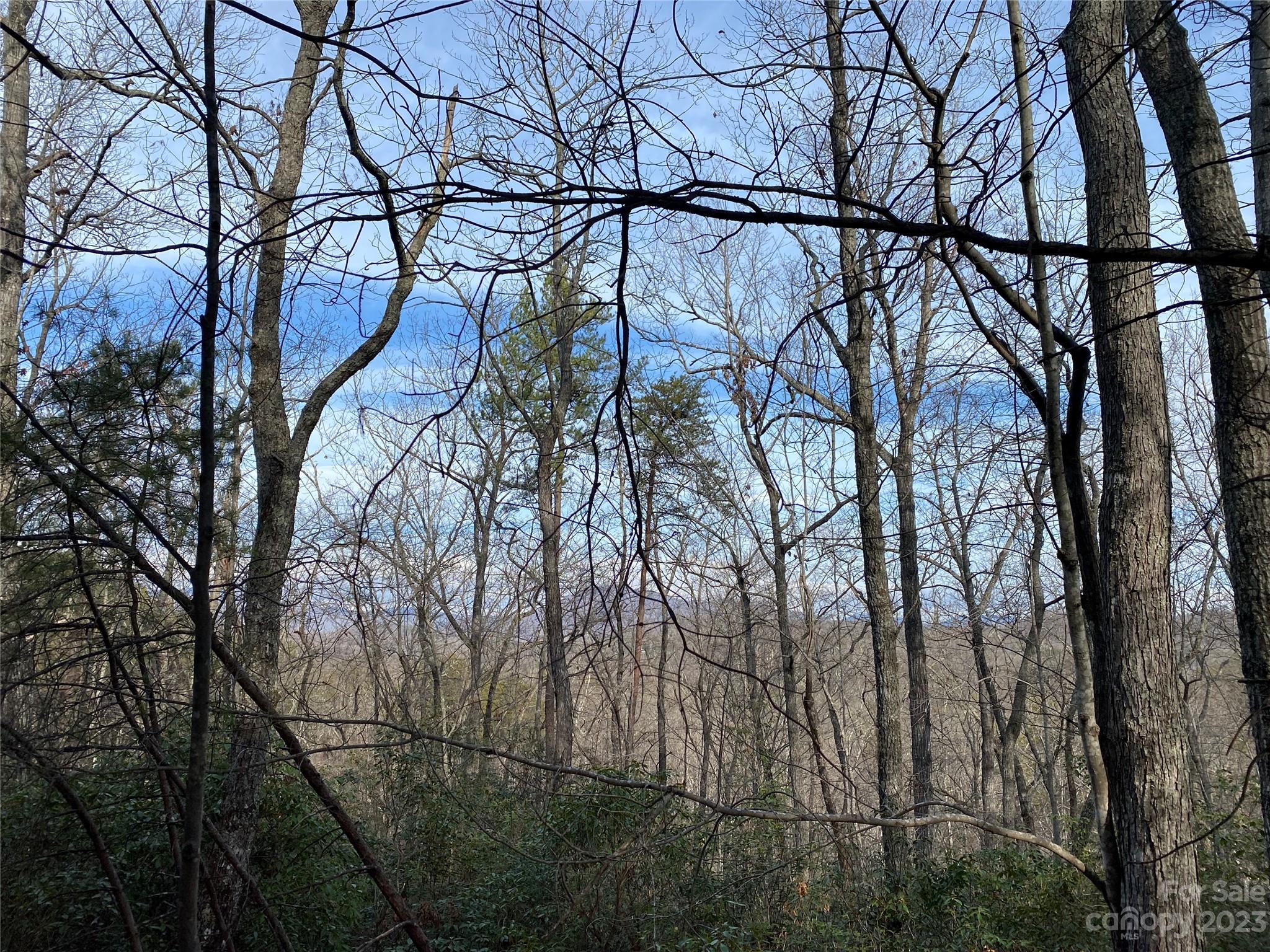 0 Birddog Boulevard Lake Lure NC 28746