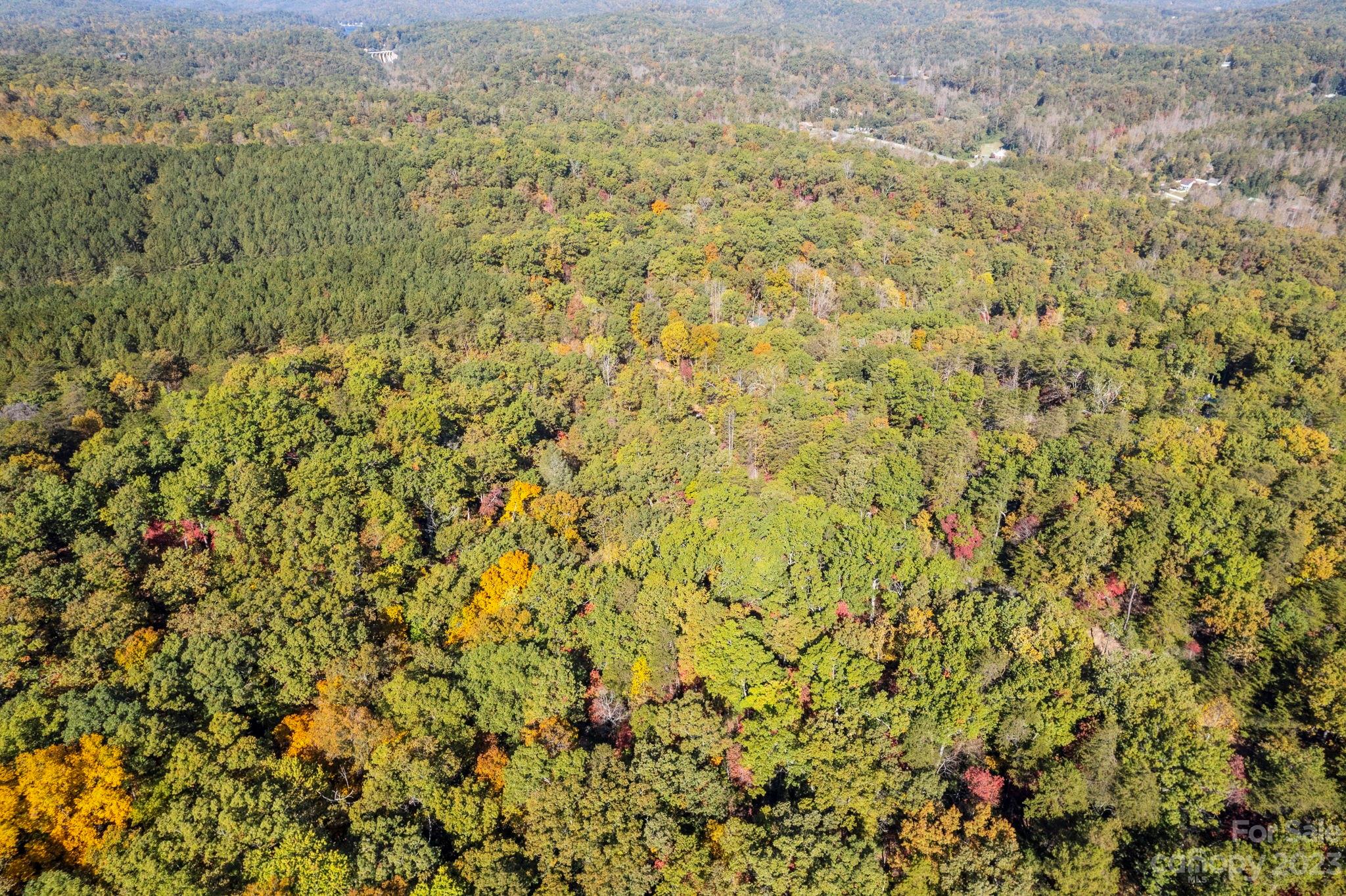 0 Birddog Boulevard Lake Lure NC 28746