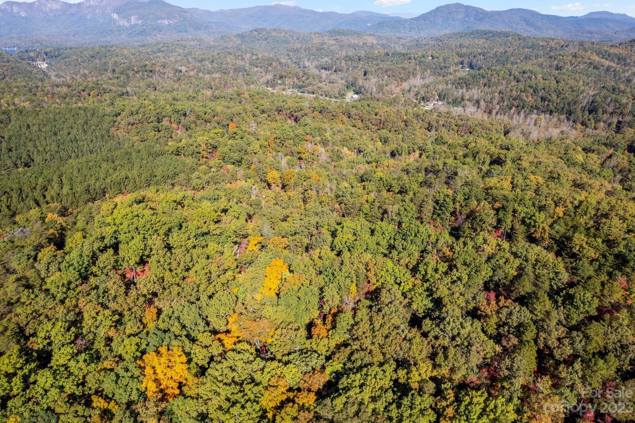 0 Birddog Boulevard Lake Lure NC 28746