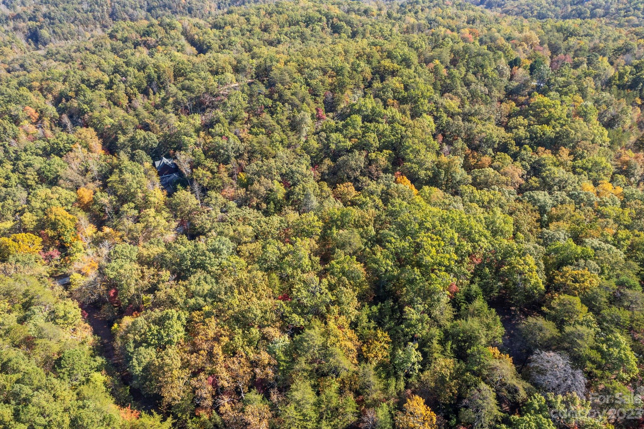 0 Birddog Boulevard Lake Lure NC 28746