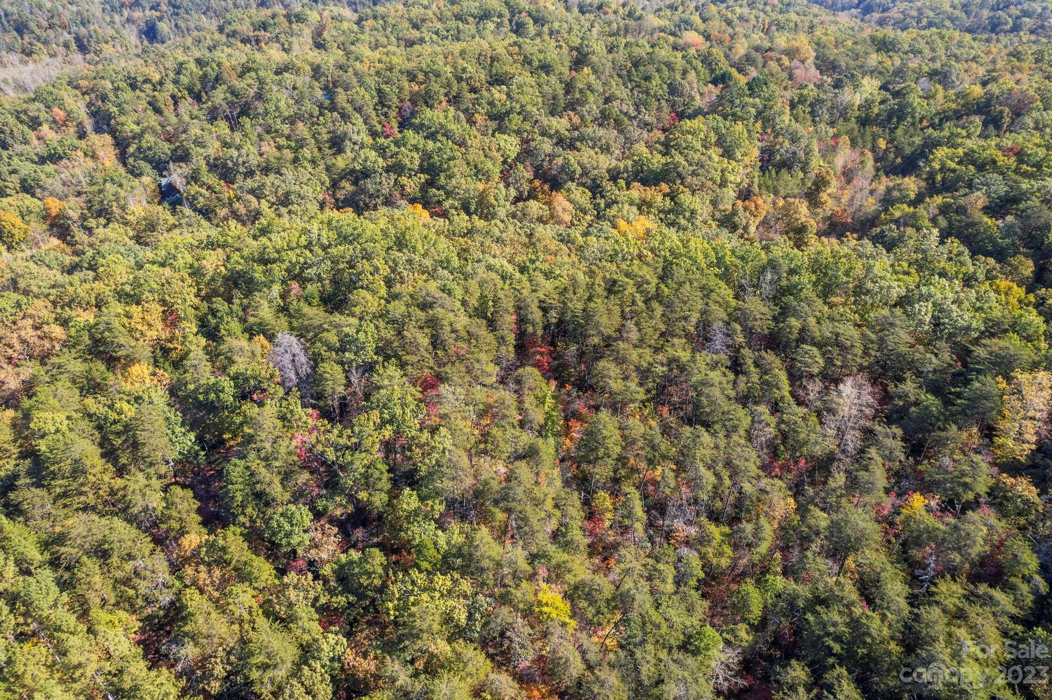 0 Birddog Boulevard Lake Lure NC 28746