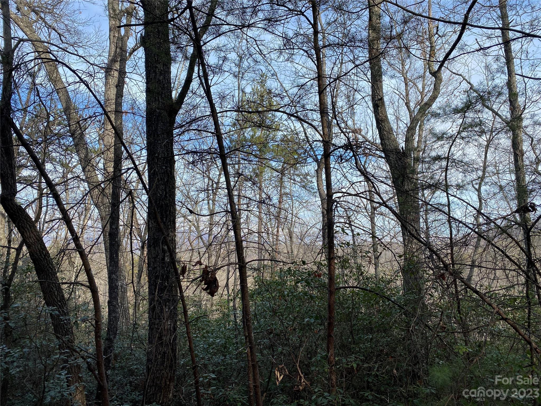 0 Birddog Boulevard Lake Lure NC 28746