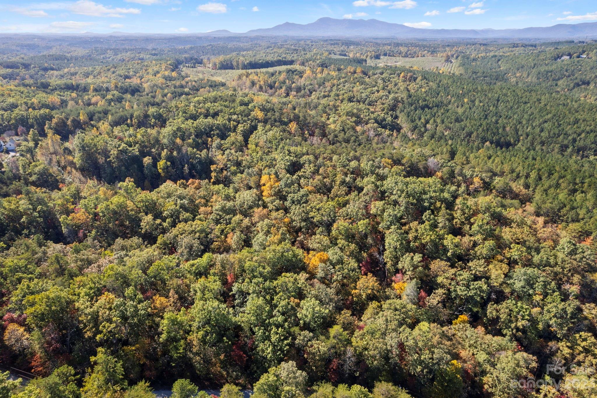 0 Birddog Boulevard Lake Lure NC 28746