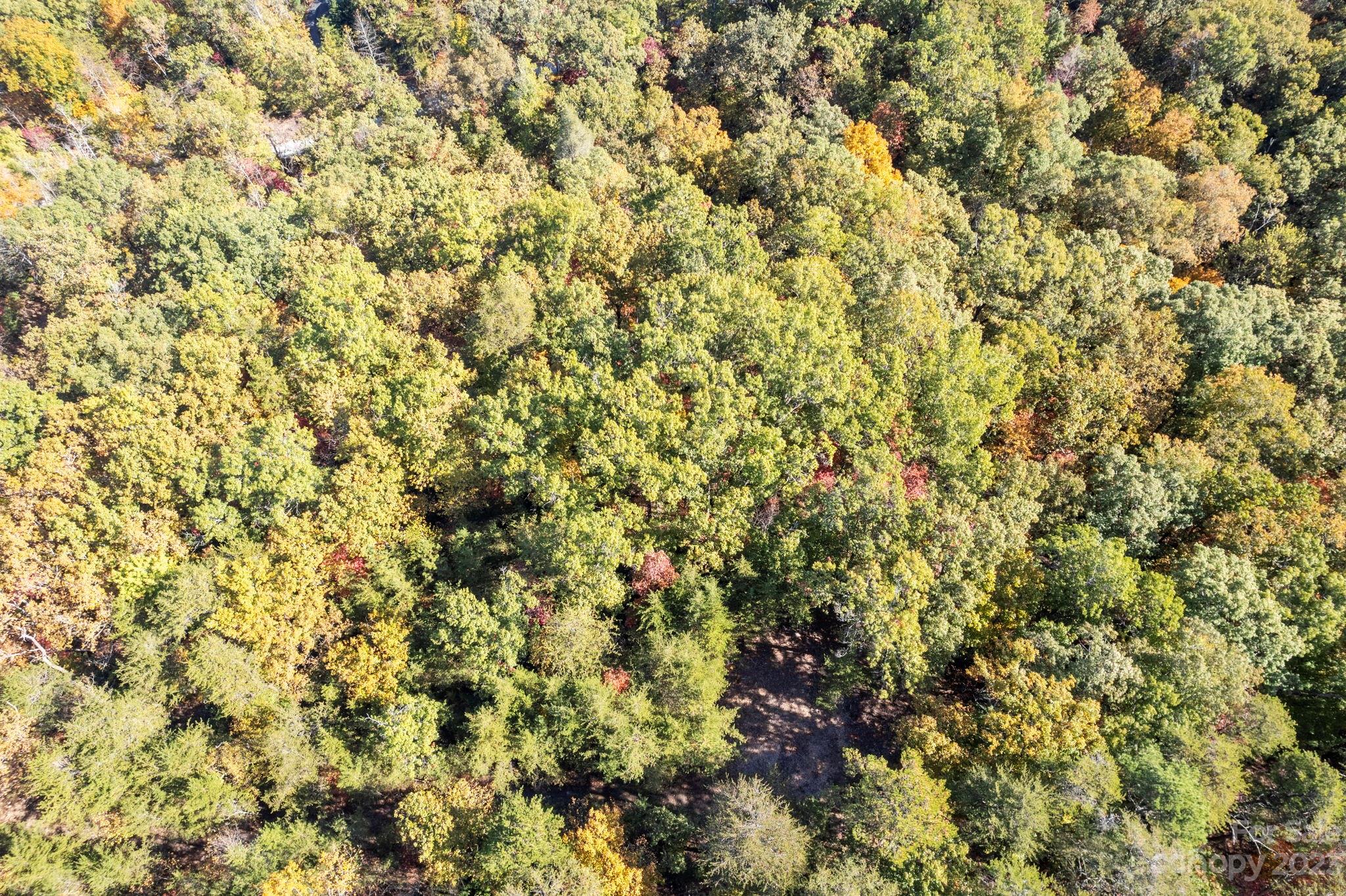 0 Birddog Boulevard Lake Lure NC 28746