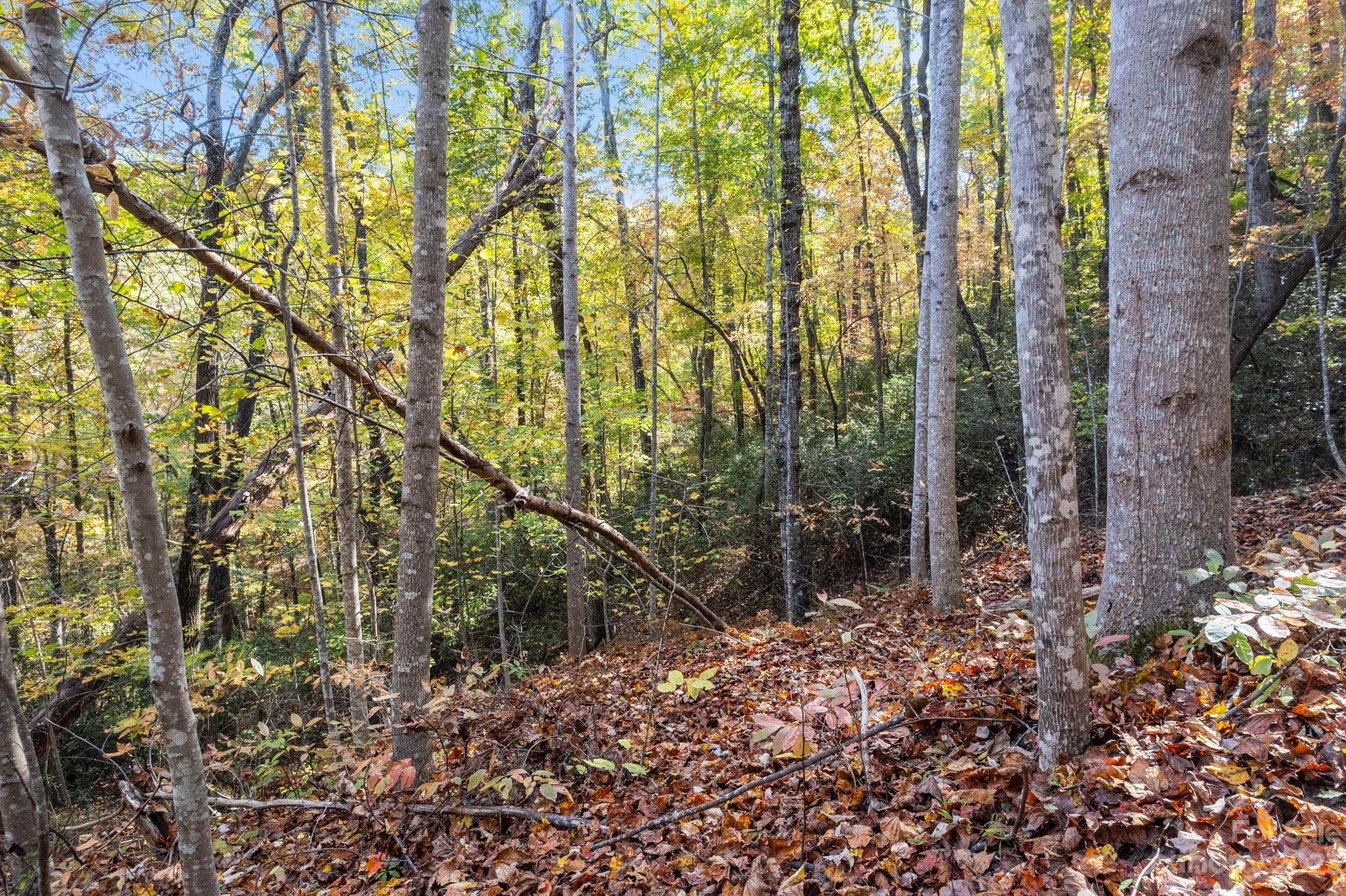 0 Birddog Boulevard Lake Lure NC 28746