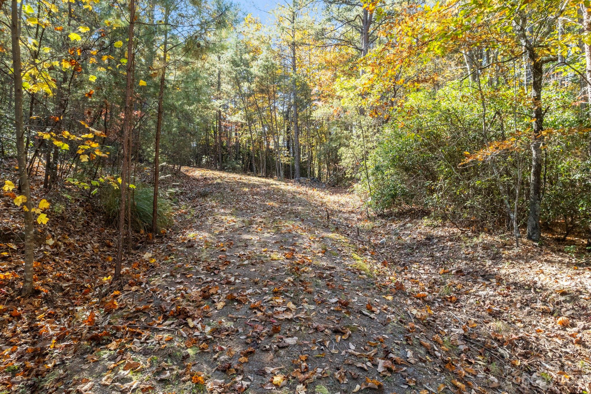 0 Birddog Boulevard Lake Lure NC 28746