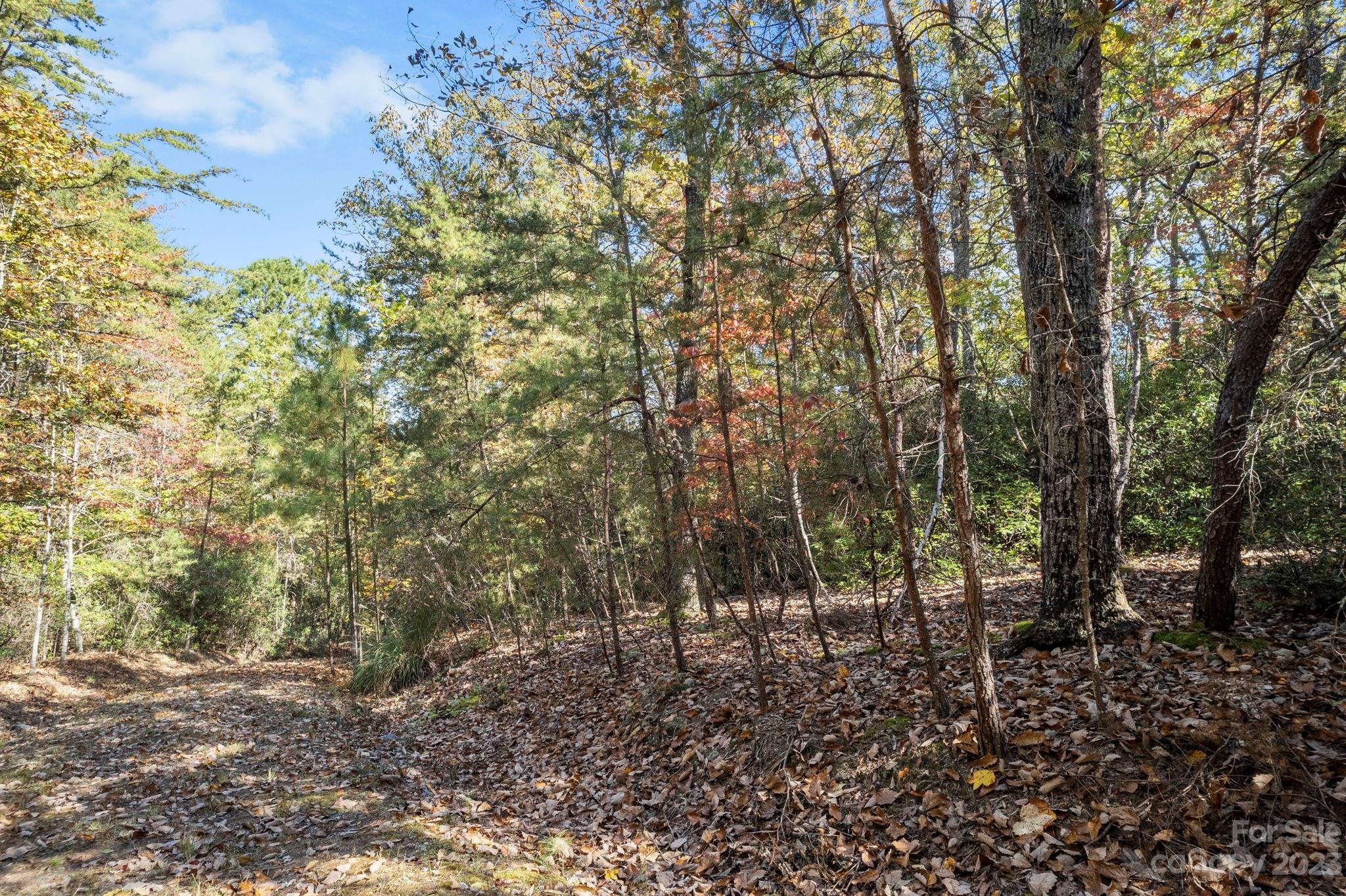 0 Birddog Boulevard Lake Lure NC 28746