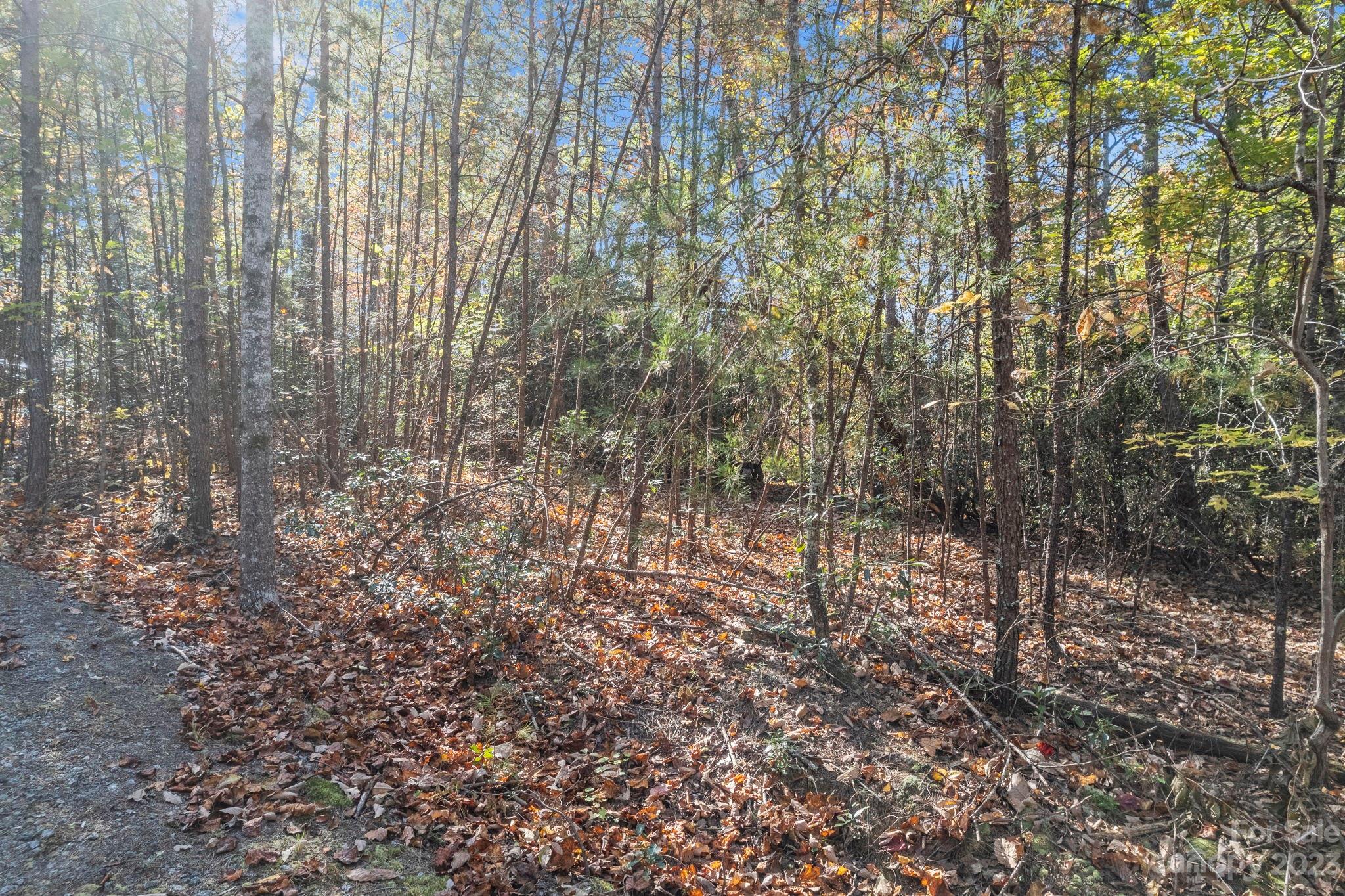 0 Birddog Boulevard Lake Lure NC 28746
