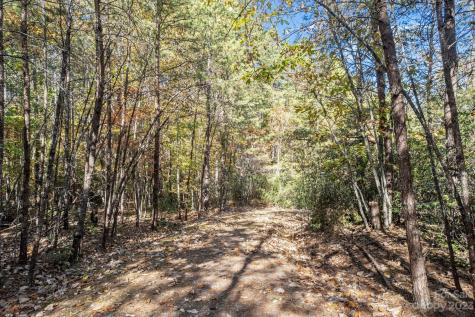0 Birddog Boulevard Lake Lure NC 28746
