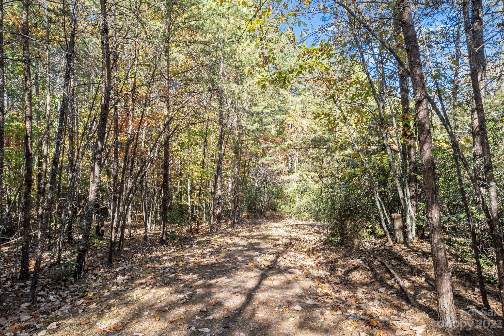 0 Birddog Boulevard Lake Lure NC 28746