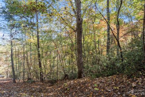 0 Birddog Boulevard Lake Lure NC 28746
