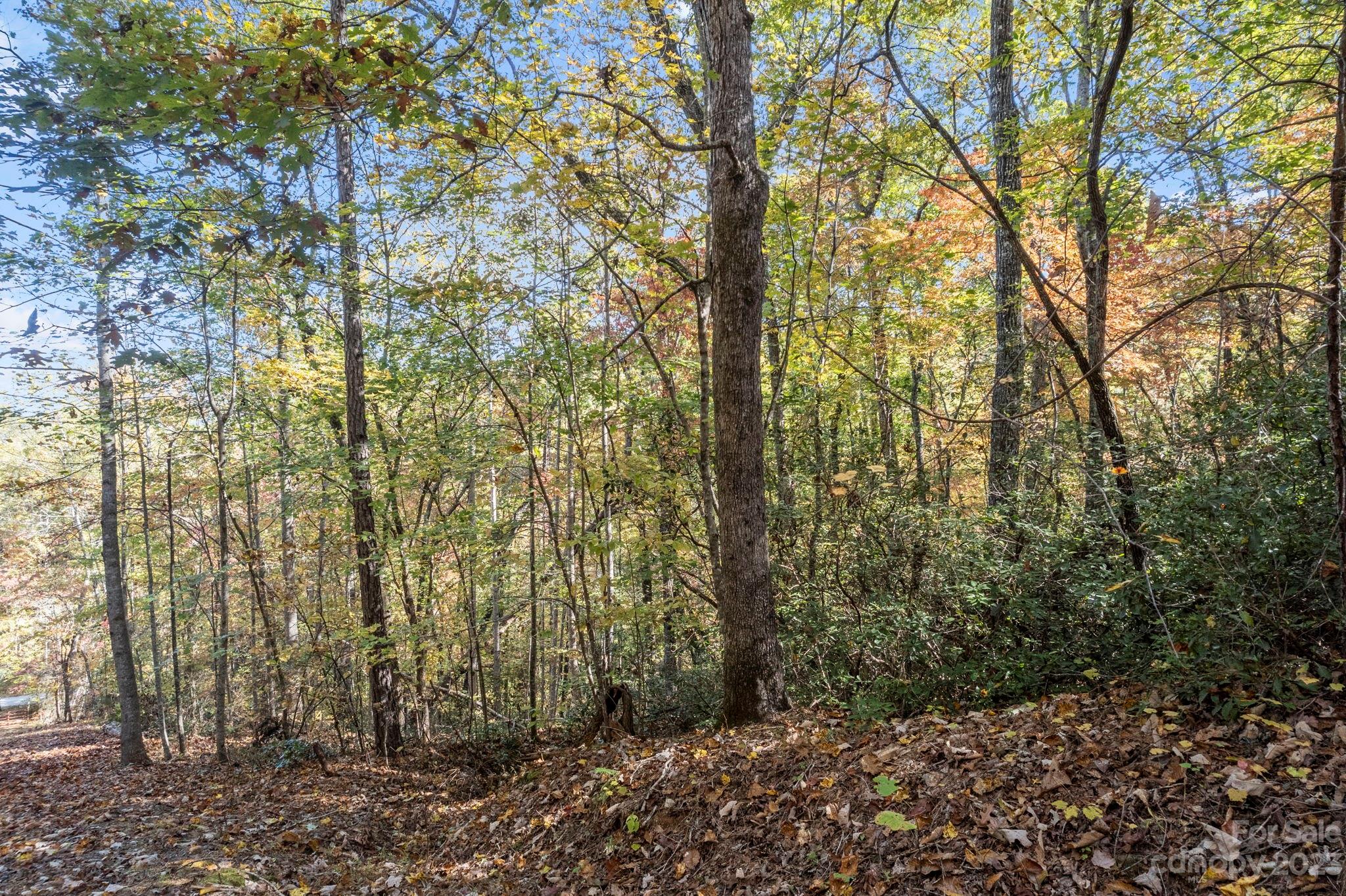 0 Birddog Boulevard Lake Lure NC 28746