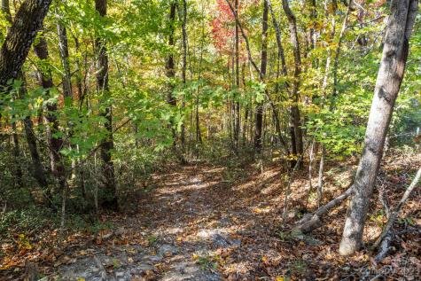 0 Birddog Boulevard Lake Lure NC 28746