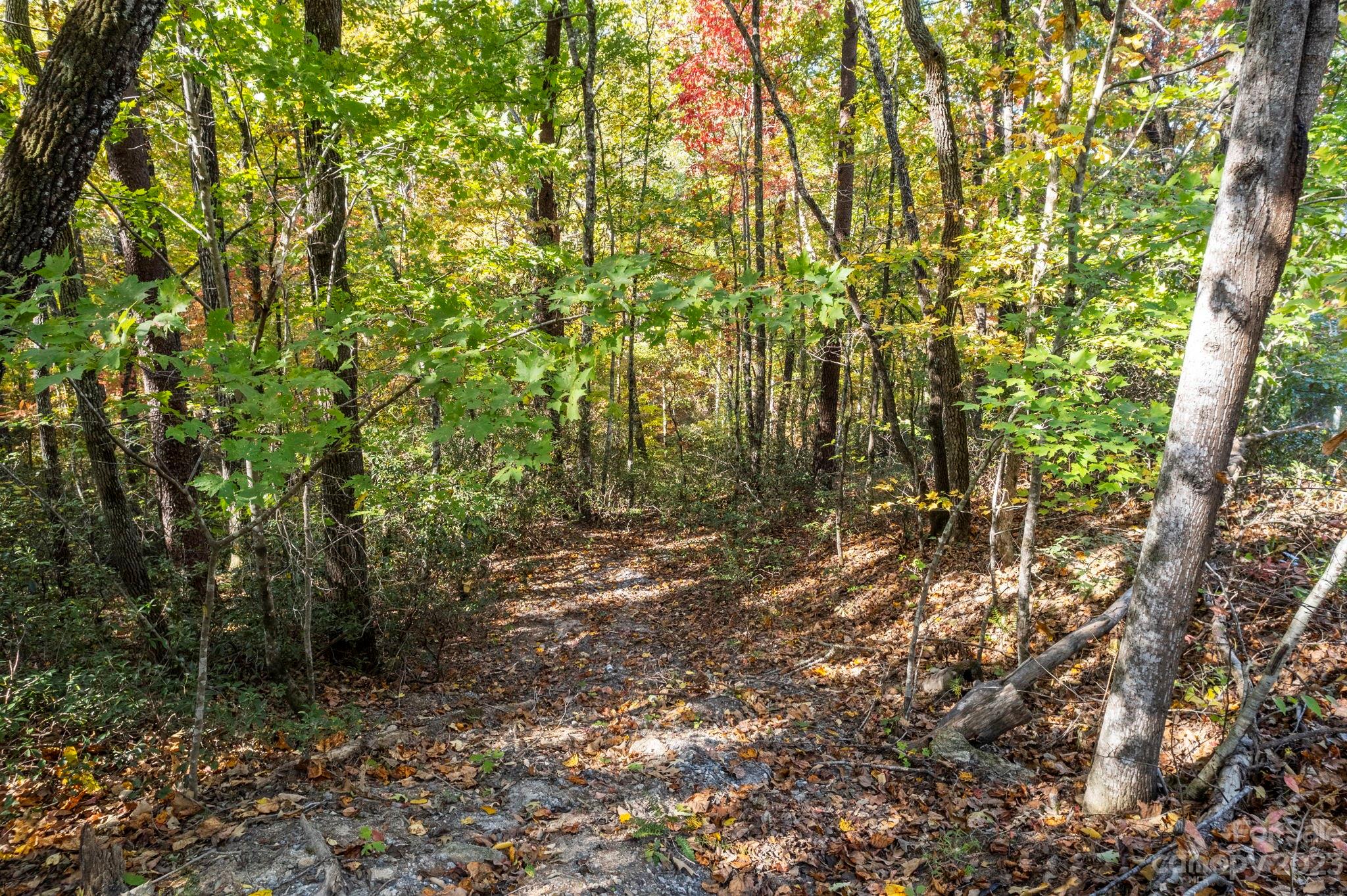 0 Birddog Boulevard Lake Lure NC 28746