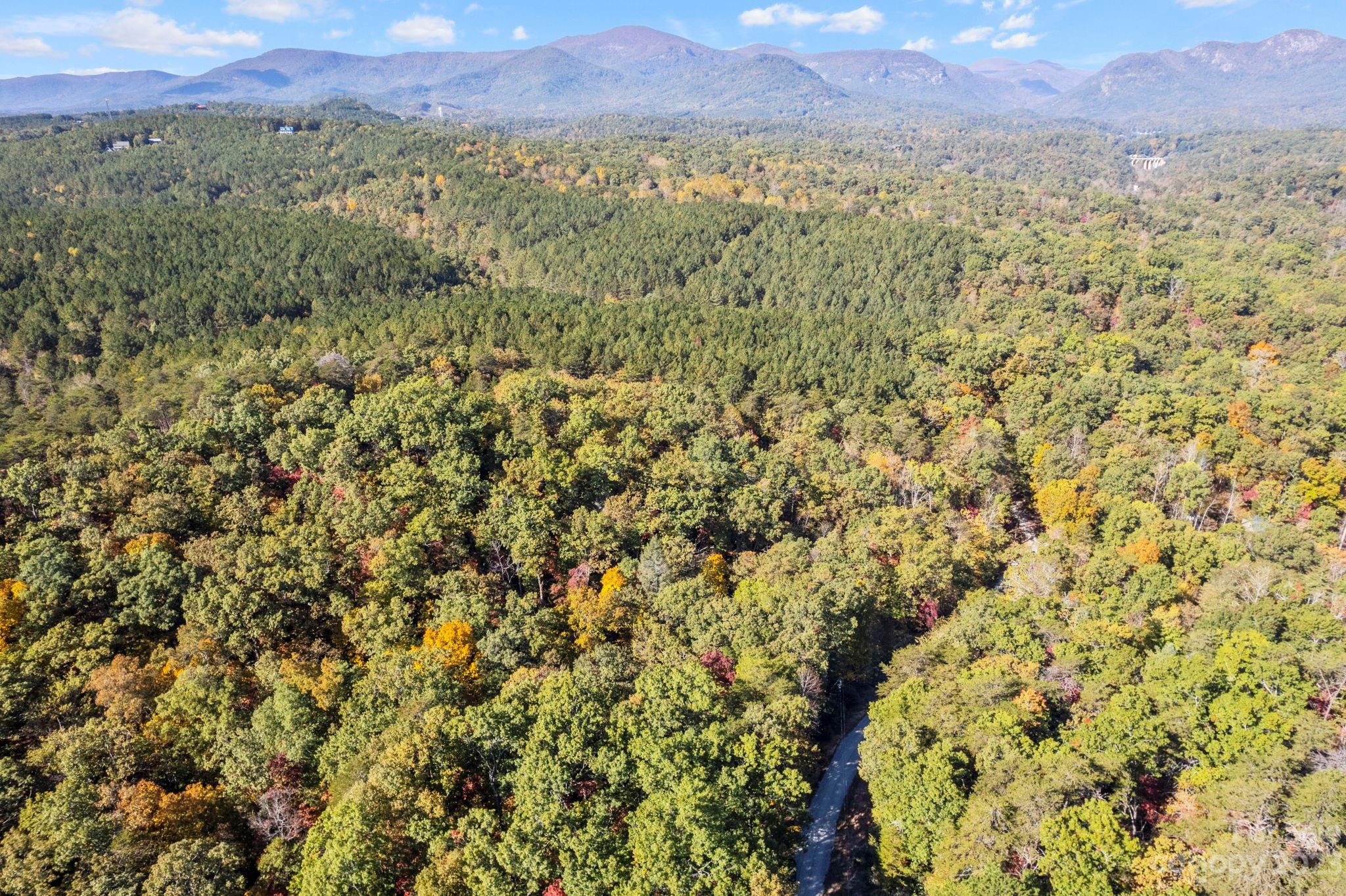 0 Birddog Boulevard Lake Lure NC 28746