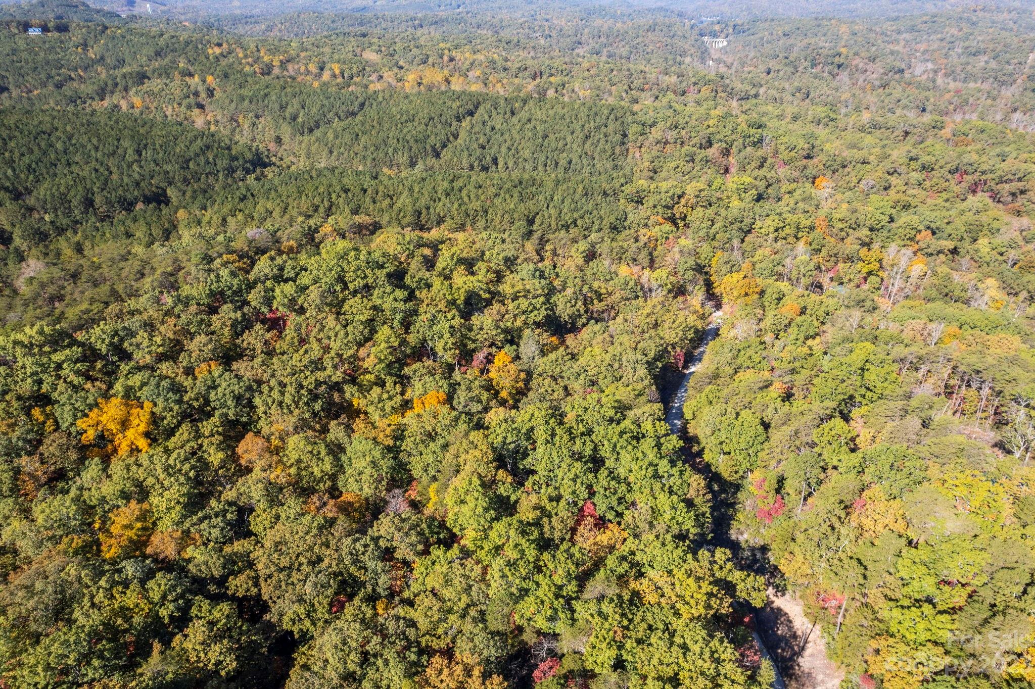 0 Birddog Boulevard Lake Lure NC 28746