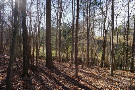 14+/-AC Canipe Road York SC 29745