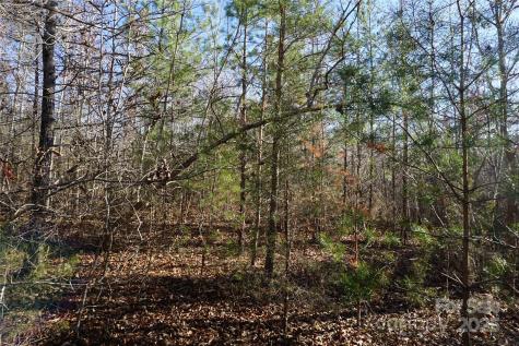 14+/-AC Canipe Road York SC 29745