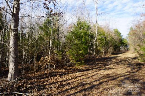14+/-AC Canipe Road York SC 29745