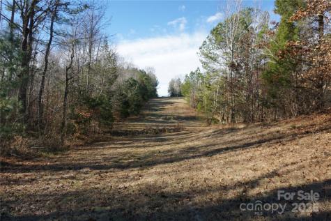 14+/-AC Canipe Road York SC 29745