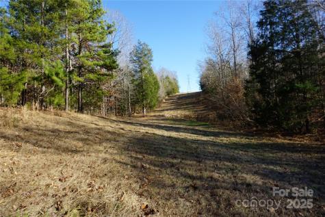 14+/-AC Canipe Road York SC 29745