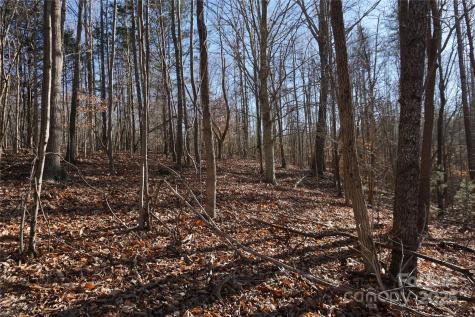 14+/-AC Canipe Road York SC 29745
