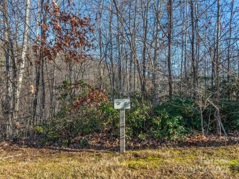 211 Ladys Fern Trail Laurel Park NC 28739