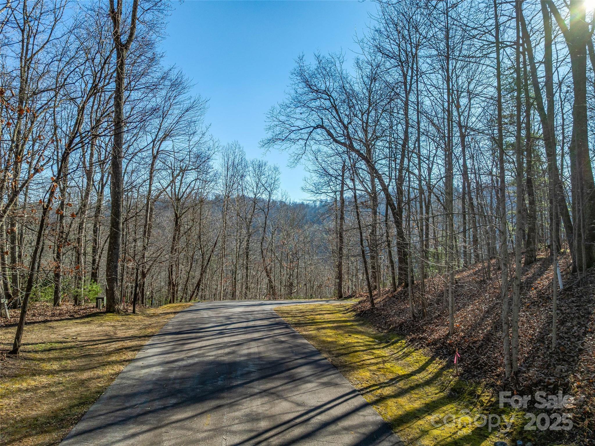 211 Ladys Fern Trail Laurel Park NC 28739