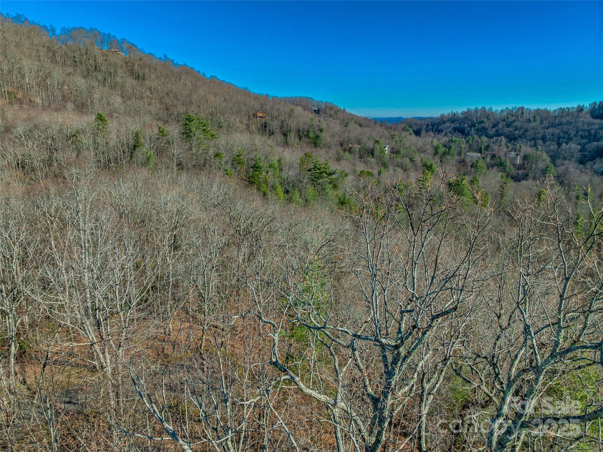 211 Ladys Fern Trail Laurel Park NC 28739