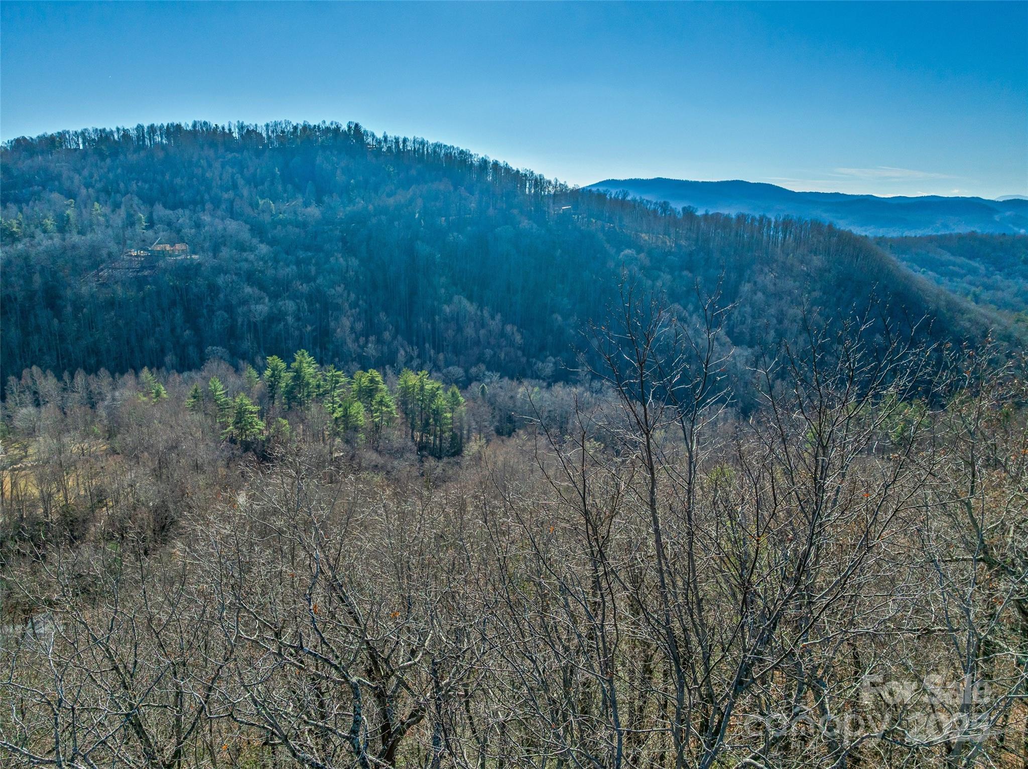 211 Ladys Fern Trail Laurel Park NC 28739