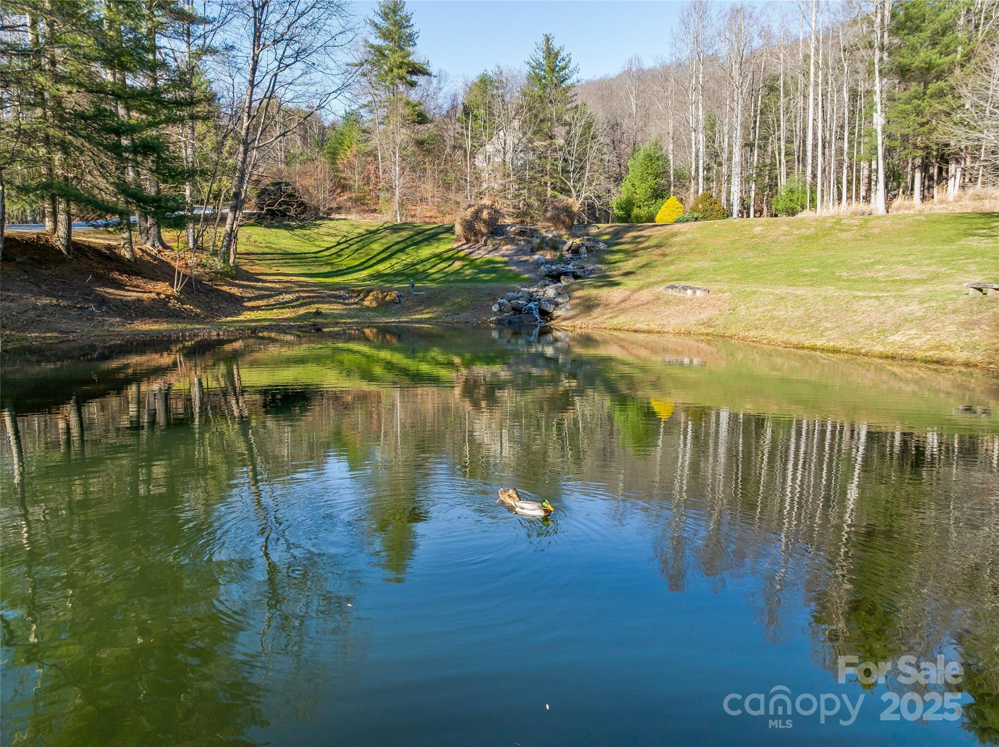 211 Ladys Fern Trail Laurel Park NC 28739