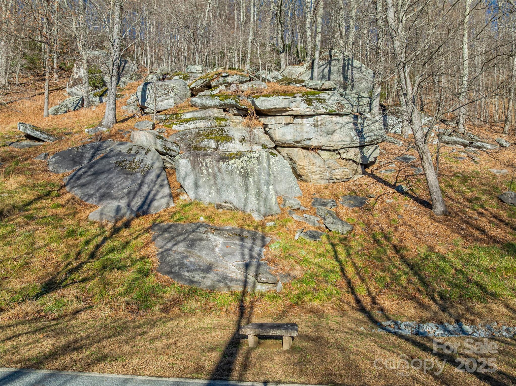 211 Ladys Fern Trail Laurel Park NC 28739