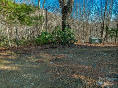 211 Ladys Fern Trail Laurel Park NC 28739