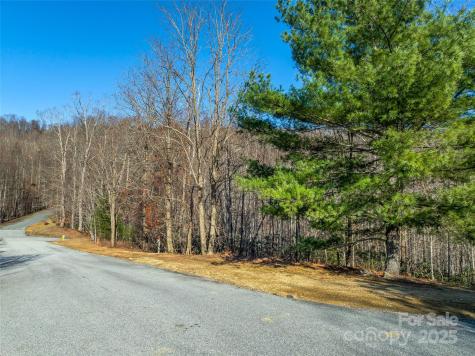 211 Ladys Fern Trail Laurel Park NC 28739