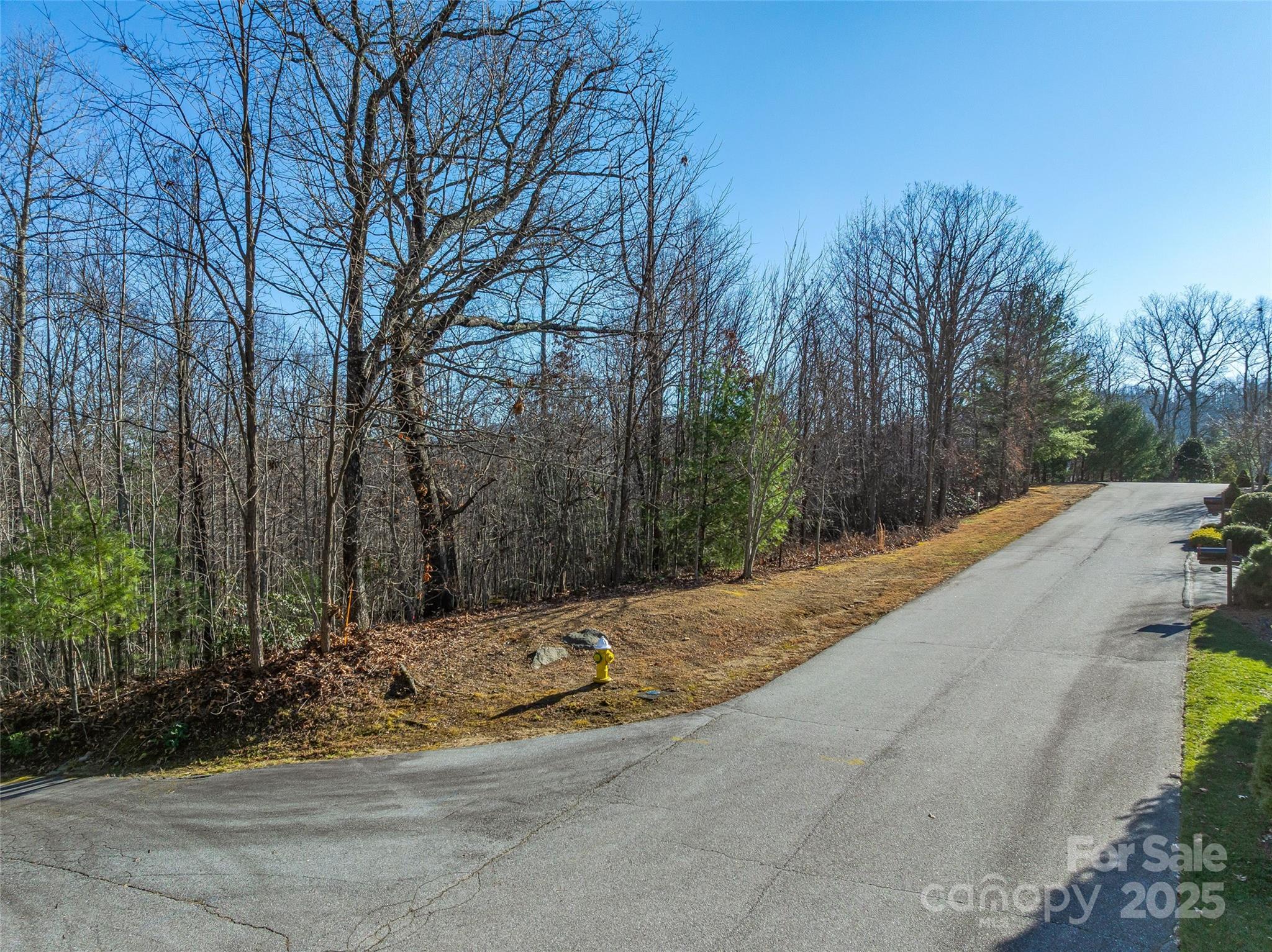 211 Ladys Fern Trail Laurel Park NC 28739
