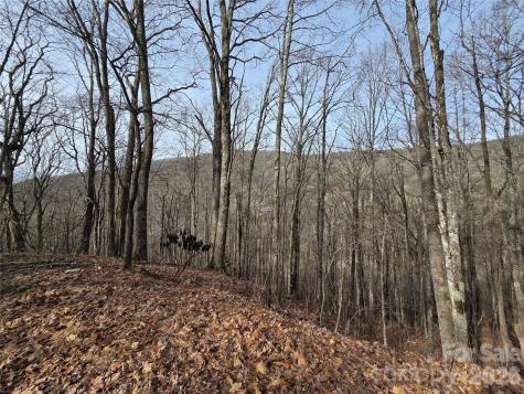 180 Goat House Way Maggie Valley NC 28751