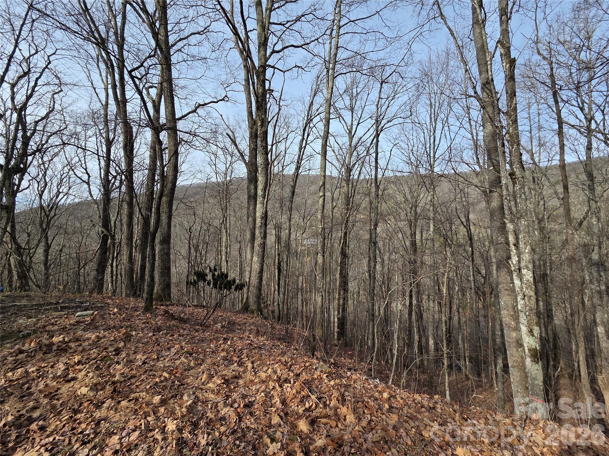 180 Goat House Way Maggie Valley NC 28751