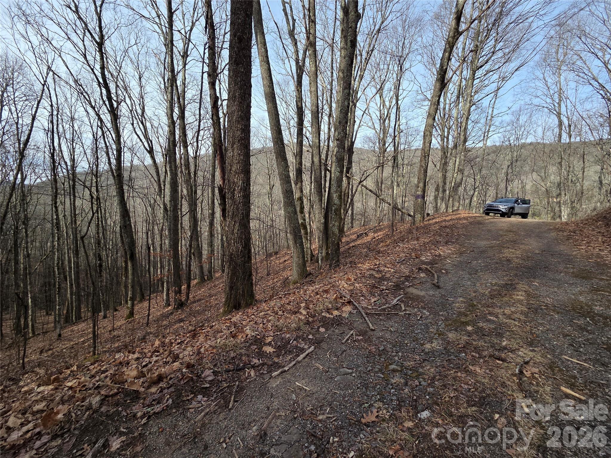 180 Goat House Way Maggie Valley NC 28751
