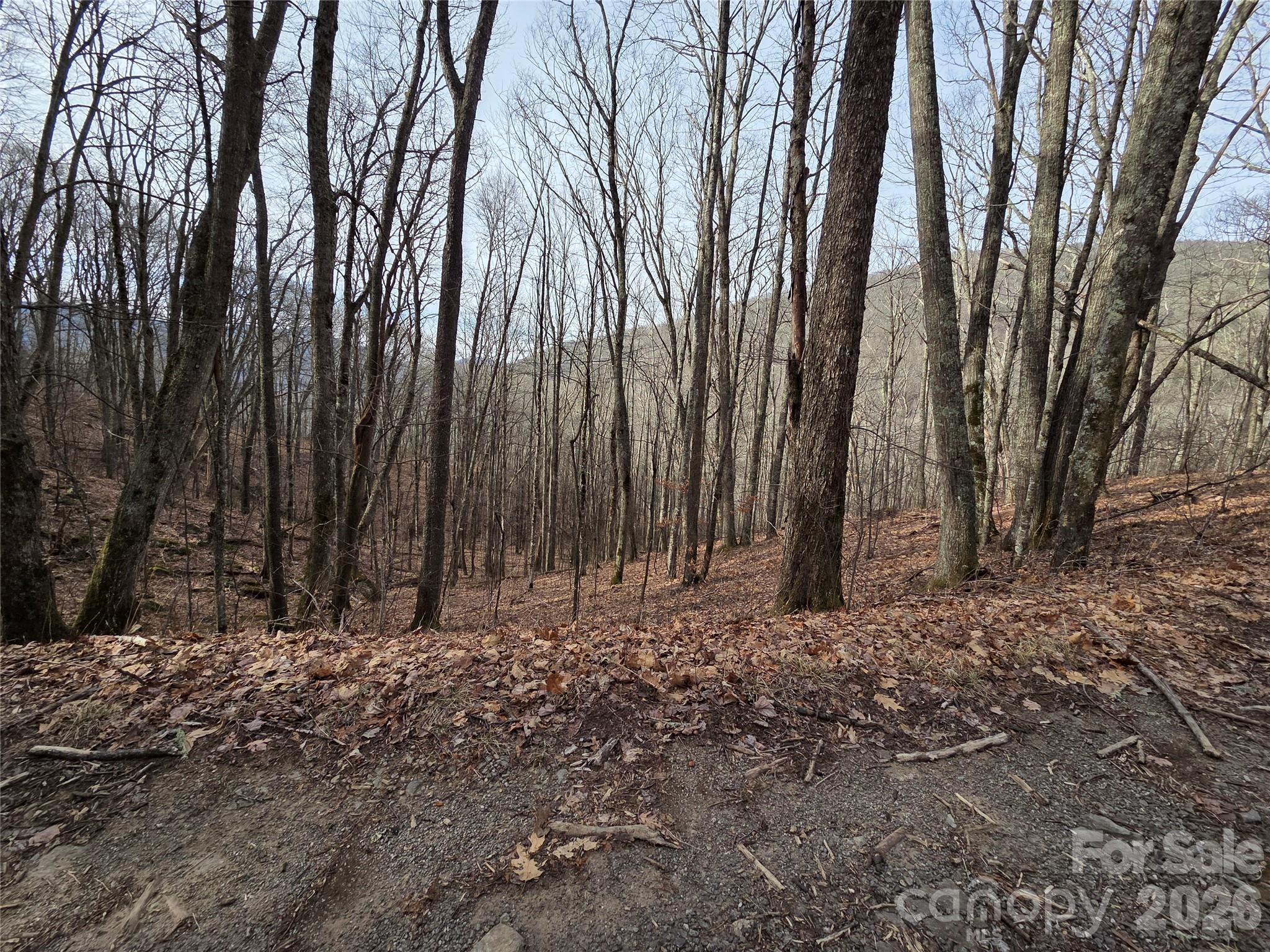 180 Goat House Way Maggie Valley NC 28751