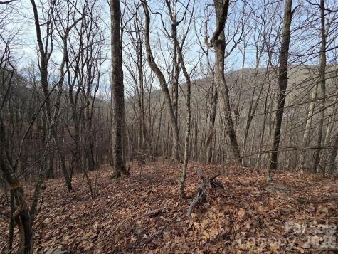 180 Goat House Way Maggie Valley NC 28751