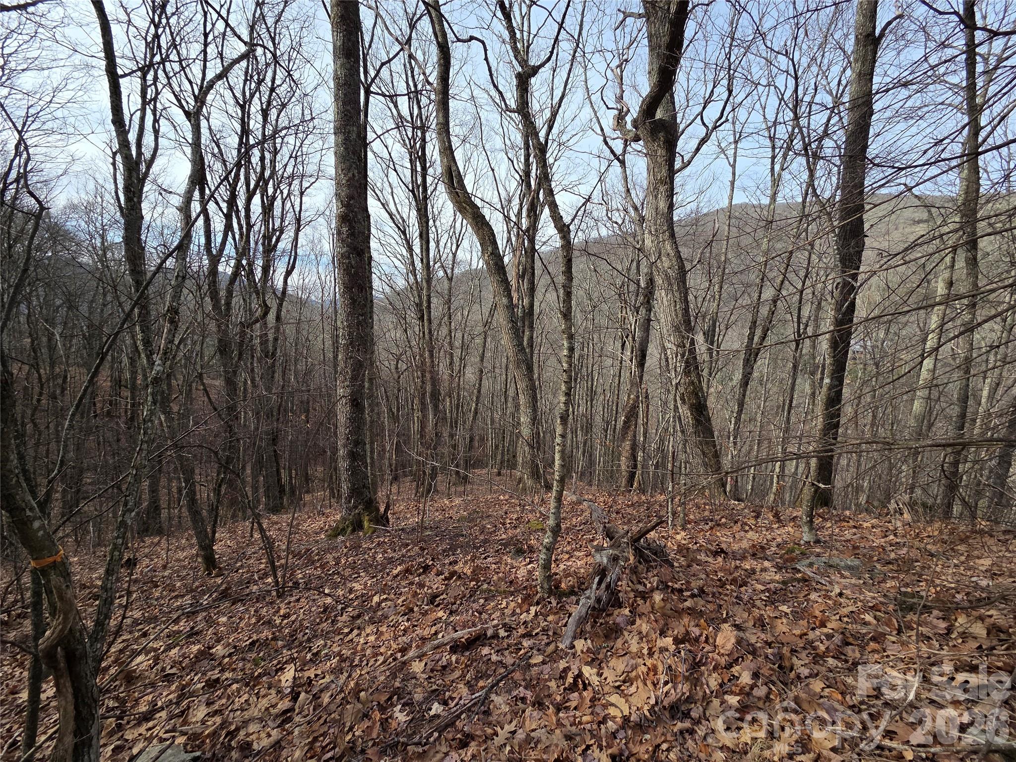 180 Goat House Way Maggie Valley NC 28751