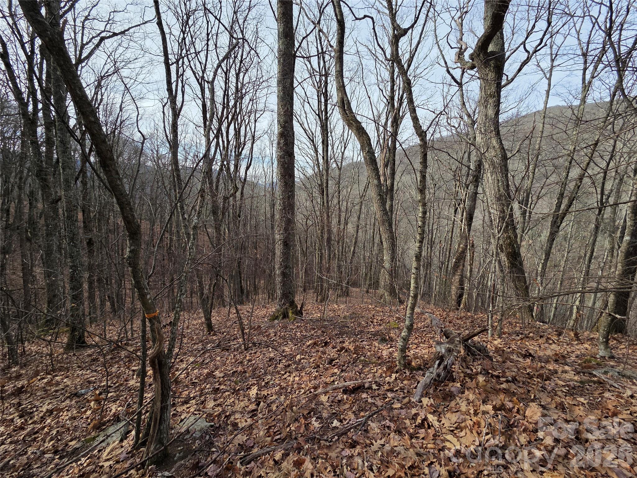 180 Goat House Way Maggie Valley NC 28751