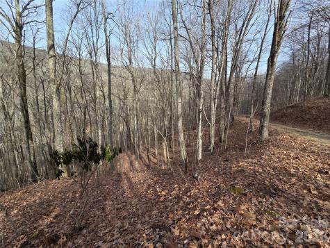 180 Goat House Way Maggie Valley NC 28751