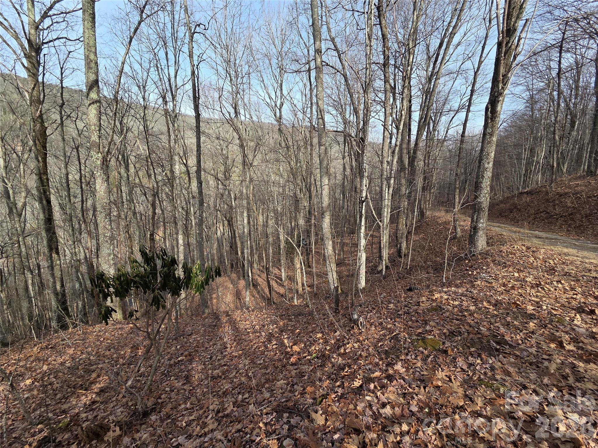180 Goat House Way Maggie Valley NC 28751