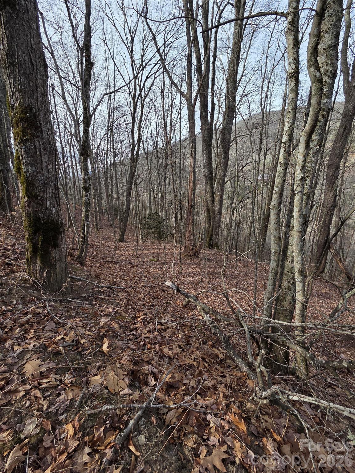 180 Goat House Way Maggie Valley NC 28751