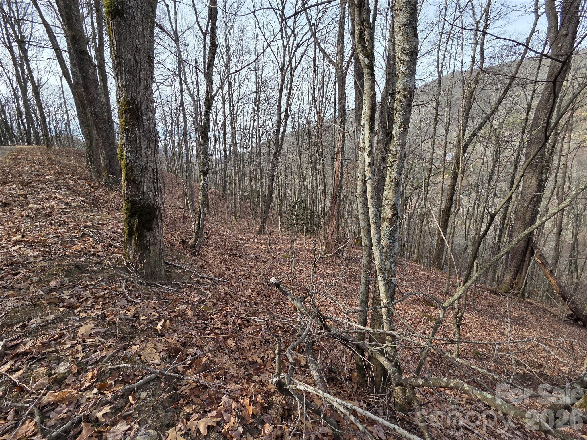180 Goat House Way Maggie Valley NC 28751